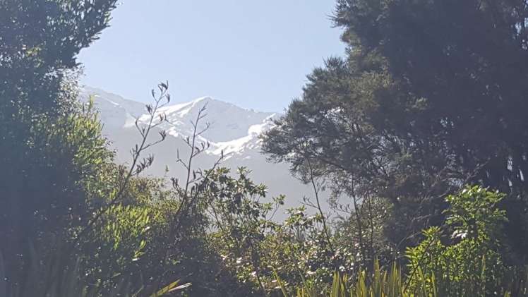 234 Parsons Road Hapuku_1