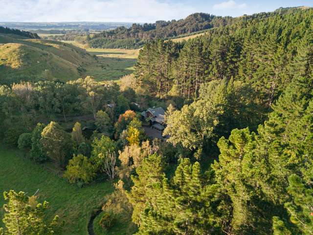 177 Forest Hill Road Aokautere_1
