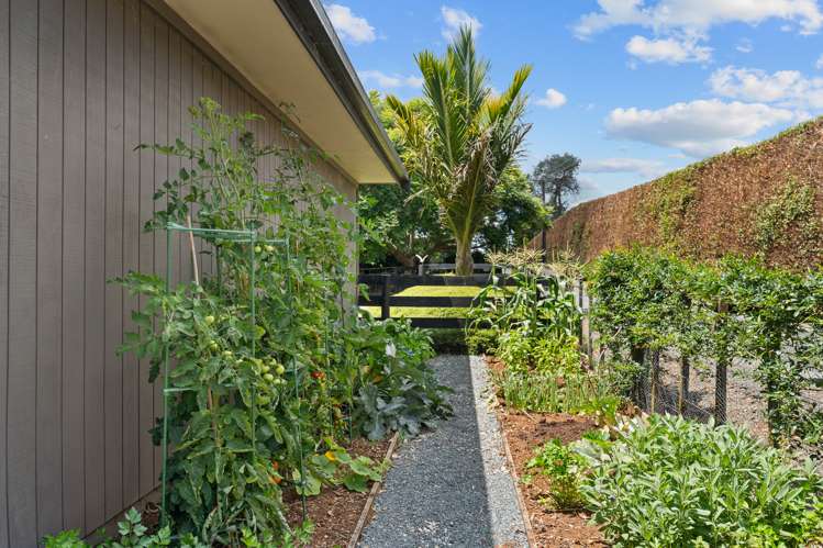 593 Ngunguru Road Glenbervie_26