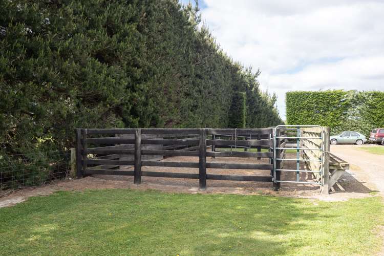 569 Wakanui Road Elgin_11