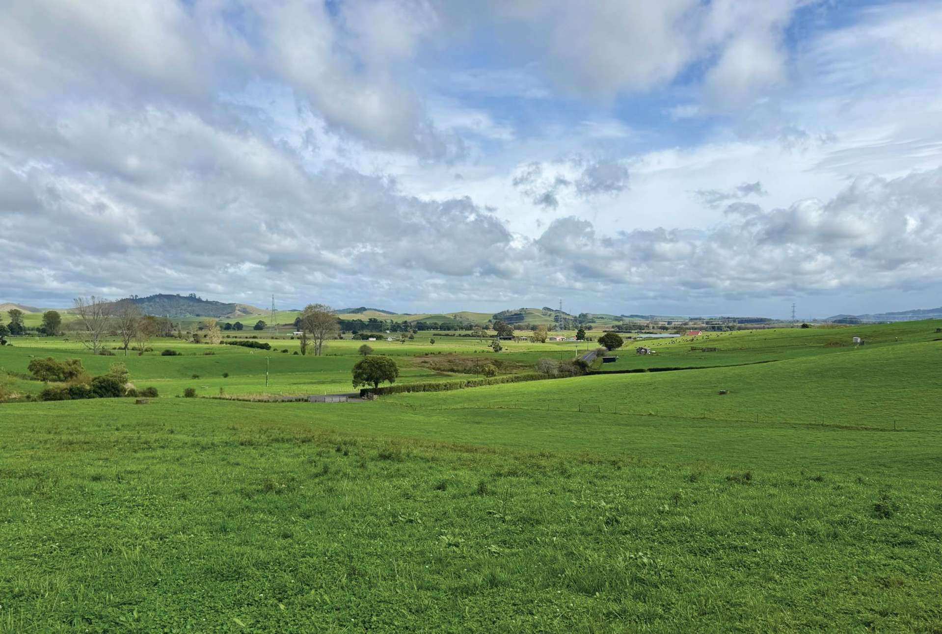 736 Taniwha Road Waerenga_0