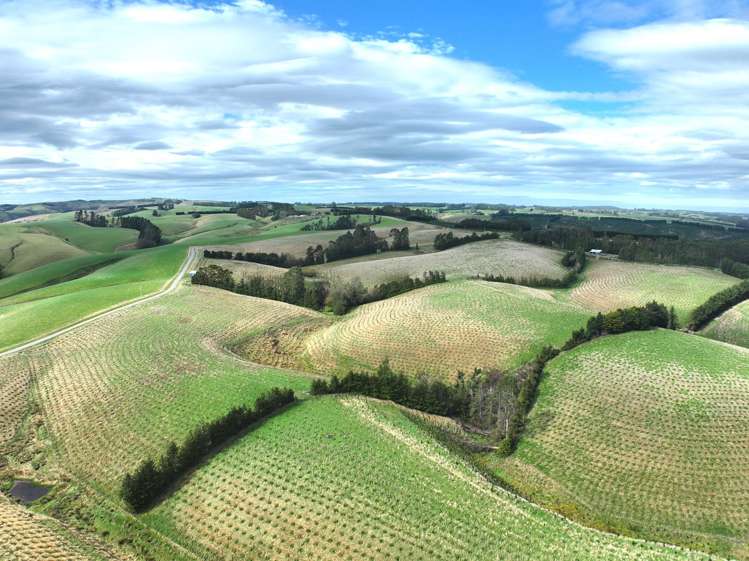 174 McCulloch Road Awamangu_27