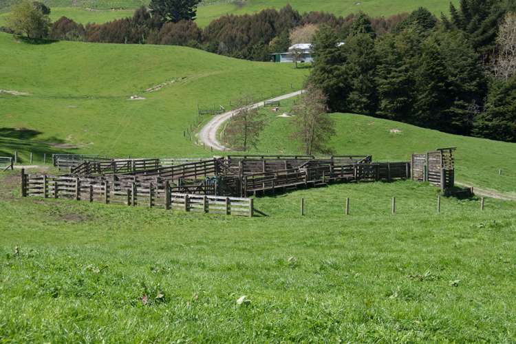 44 Coates Road Waikite Valley_23