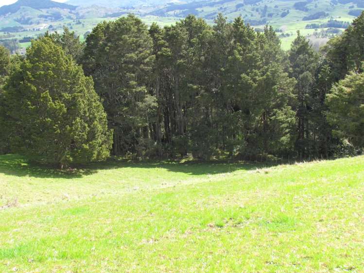 Tremain Road Ruatangata West_25