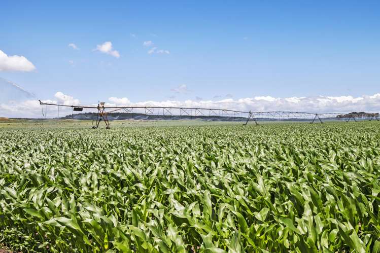 715 Santoft Road Bulls_21