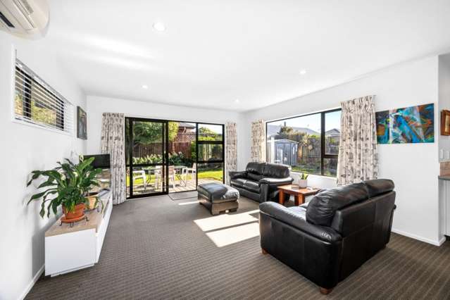 10 Pony Lane Spreydon_4