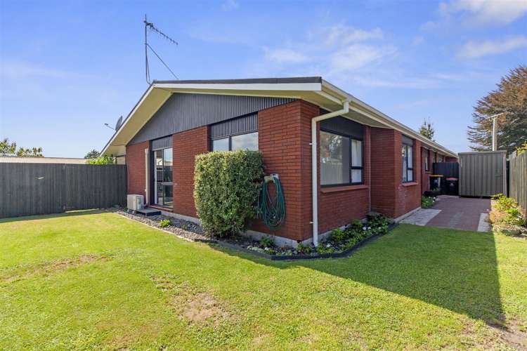 113b Grace Road Tauranga South_4