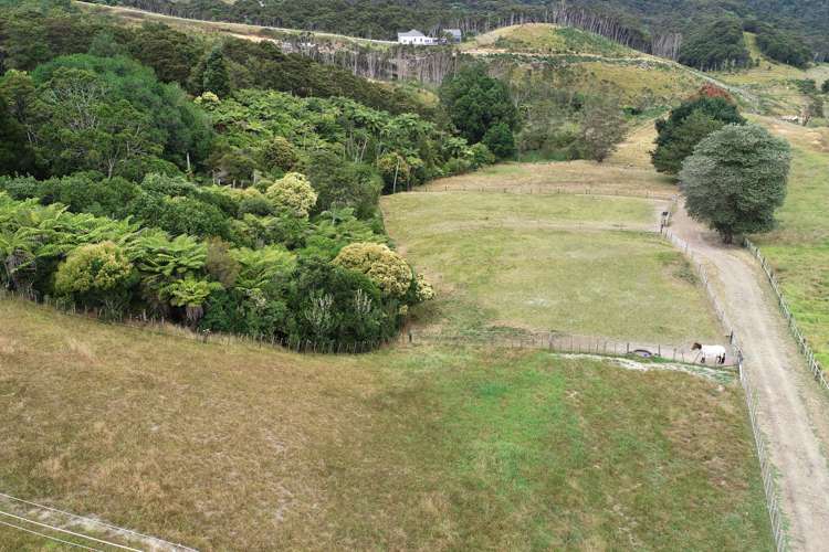 22 Munros Road Clevedon_16