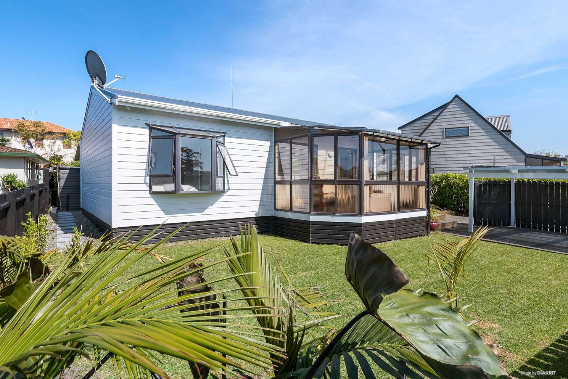 26 Nukumea Common Orewa_0