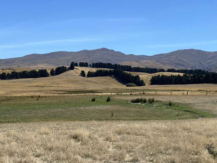 Woolshed Creek Road Saint Bathans_6