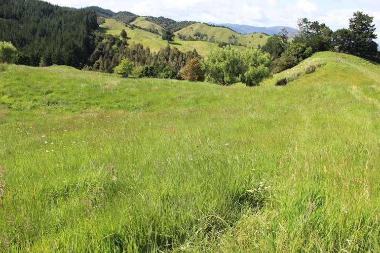 1529 Duncan Road Kaitaia_22