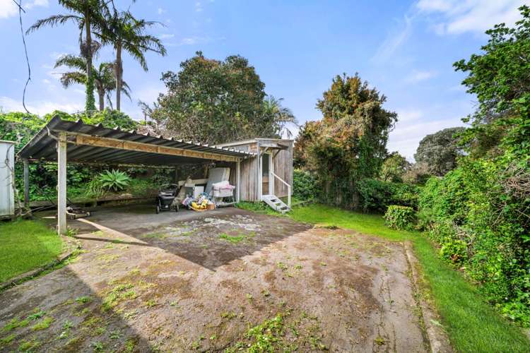 67 Tiverton Road Avondale_14