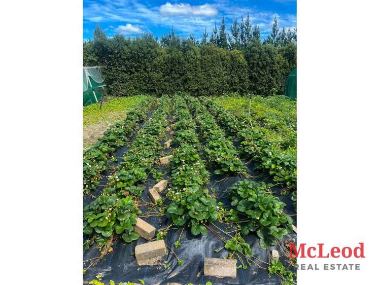 1742 Grahams Road Eiffelton_6