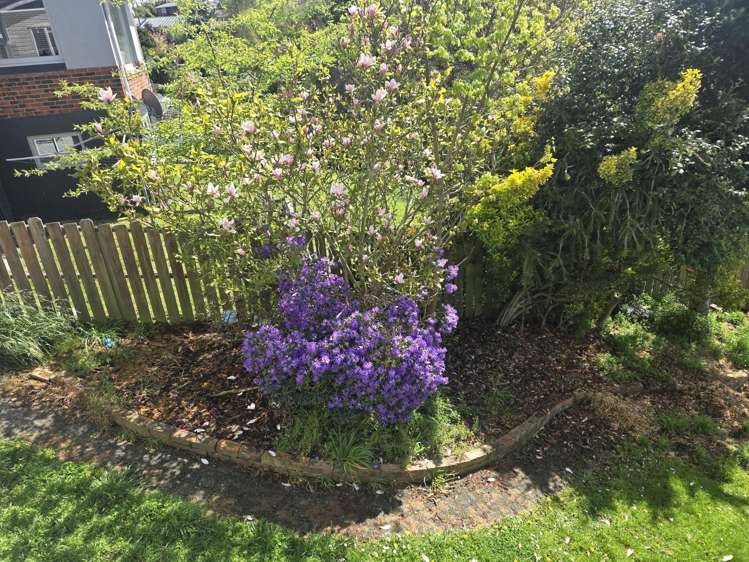 67 Wilson Road Balclutha_30