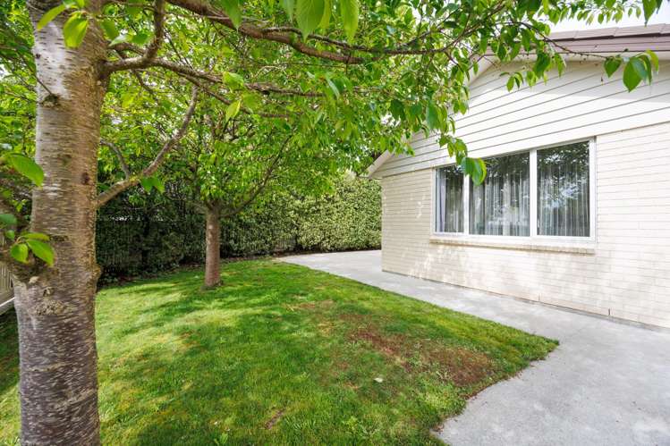 97 Worcester Street Ashhurst_18