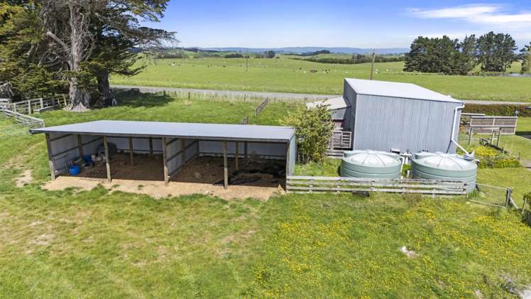 67 Finnis Road Pohangina_24