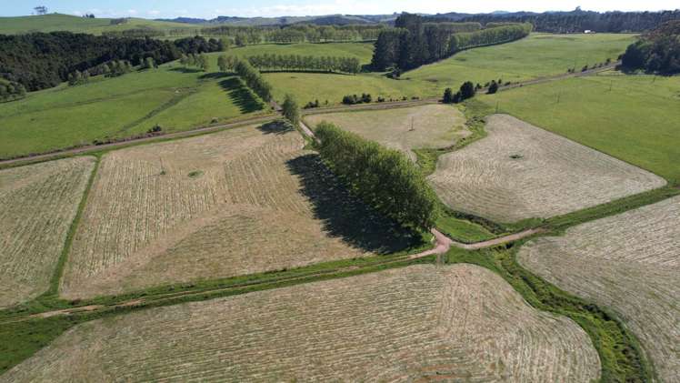 374 Rakauwahia Road Taheke_26