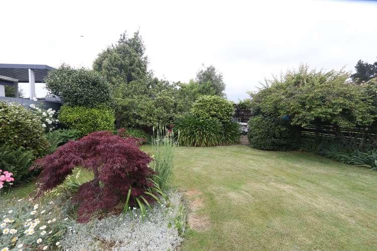 43 Grove Street Tinwald_20