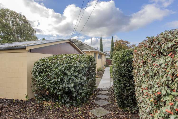 244 Lake Terrace Road Shirley_16