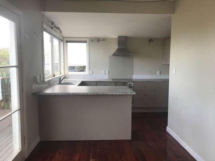 81 Carlton Street Hillsborough_9