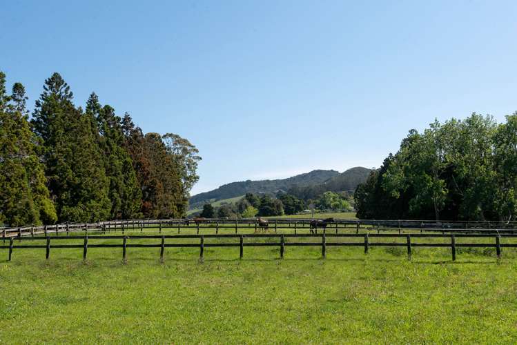 291 North Road Clevedon_29