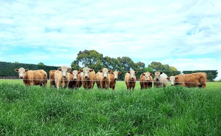 140 Hudsons Road Lincoln_18