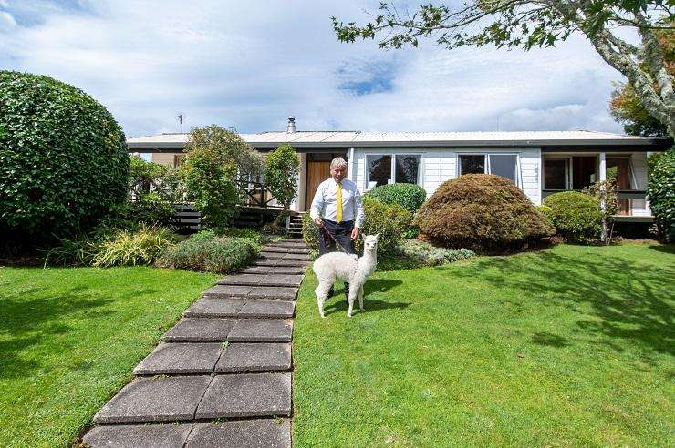 Ray White agent Tim O’Sullivan with his pet, Boris the Alpaca: 