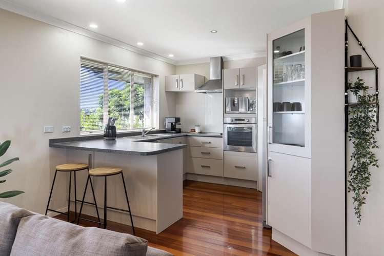 31 Princess Road Bellevue_3