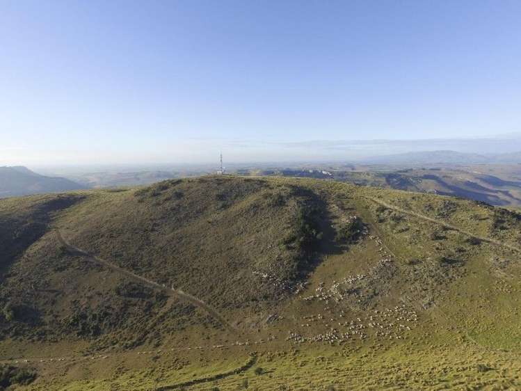 126 Mcphersons Road Taiko_37