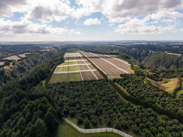 852 Rangiuru Road Rangiuru_4