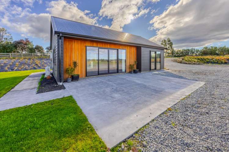 5 Tui Drive Waipukurau_12