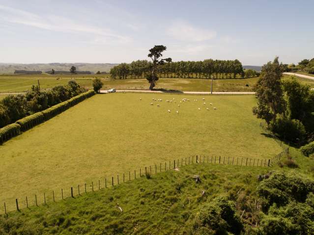 261a Roberts Avenue Aramoho_3