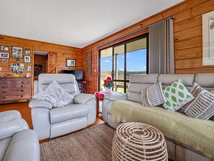 487 Wilson Road South Head Helensville_9