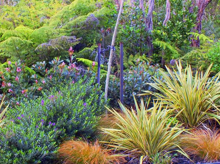 53 Kitewaho Road Swanson_58