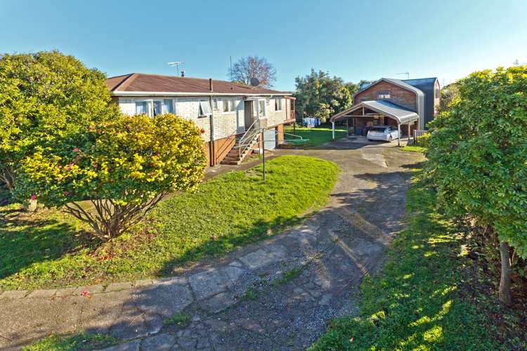 36 Powell Street Avondale_5