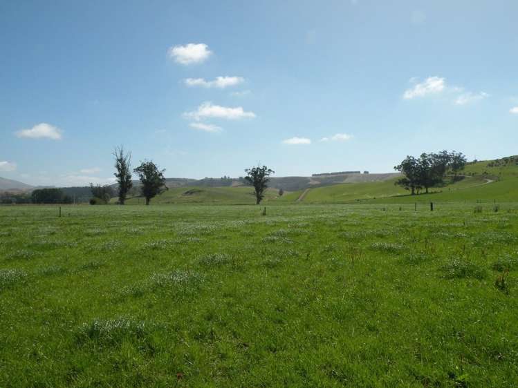 432 Flag Swamp Road Flag Swamp_6