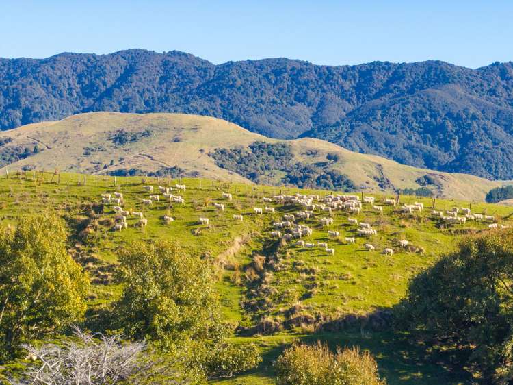 148 Mangatainoka Valley Road Eketahuna_33