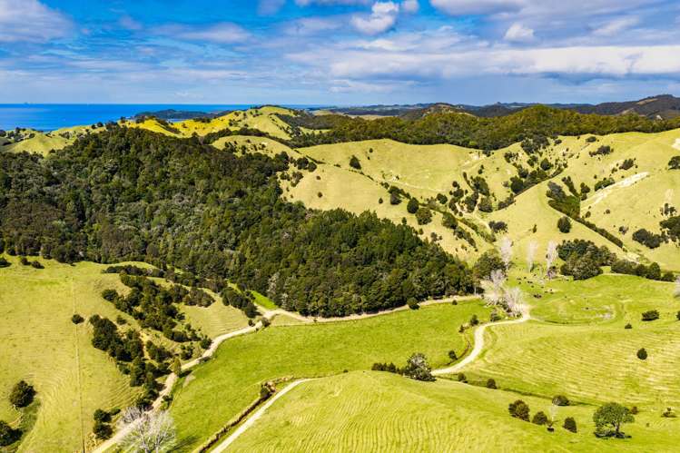 570 and 698 Whananaki South Road Whananaki_3