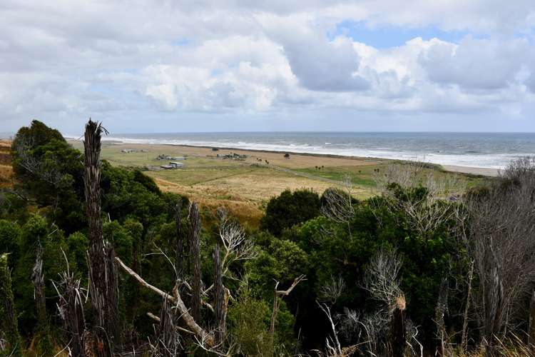 904 Karamea Kohaihai Road Karamea_19