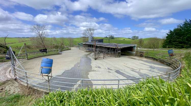 77 Parker Road Wellsford_3