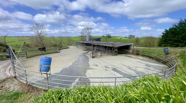 77 Parker Road Wellsford_3