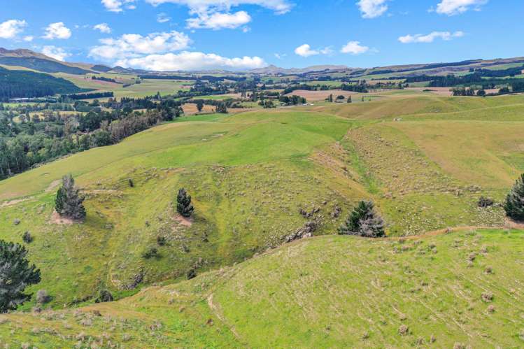 1453 Dunback-Morrisons road Dunback_23