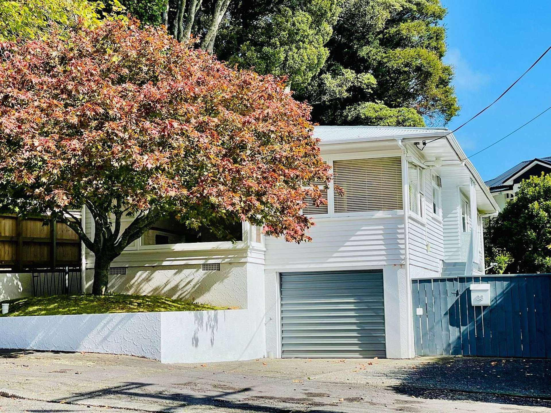 88 Carrington Street Lower Vogeltown_0