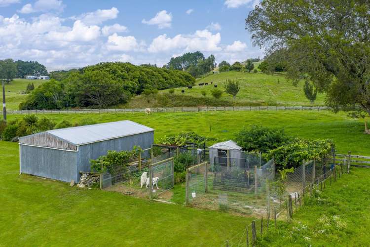 931 Limeworks Loop Road Karamu_19