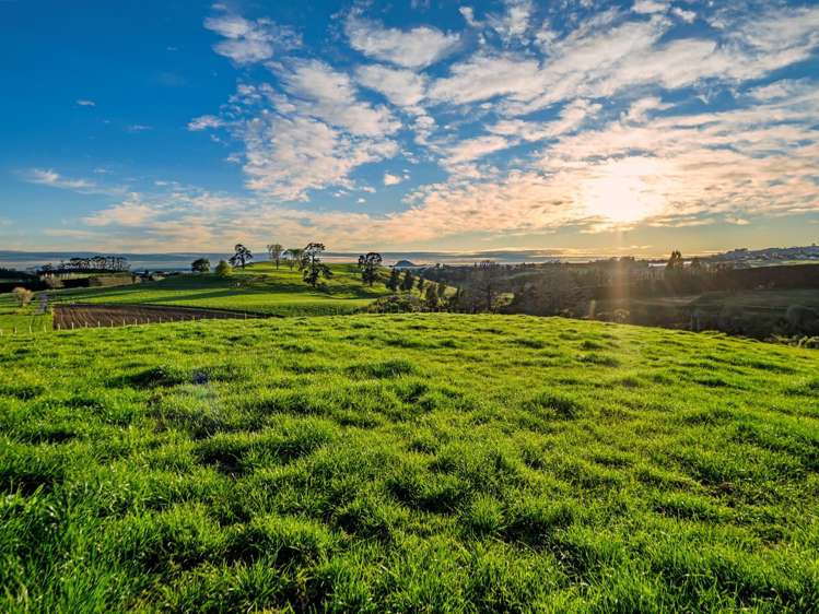 Lot Lot 1 Ross Road Whakamarama_14