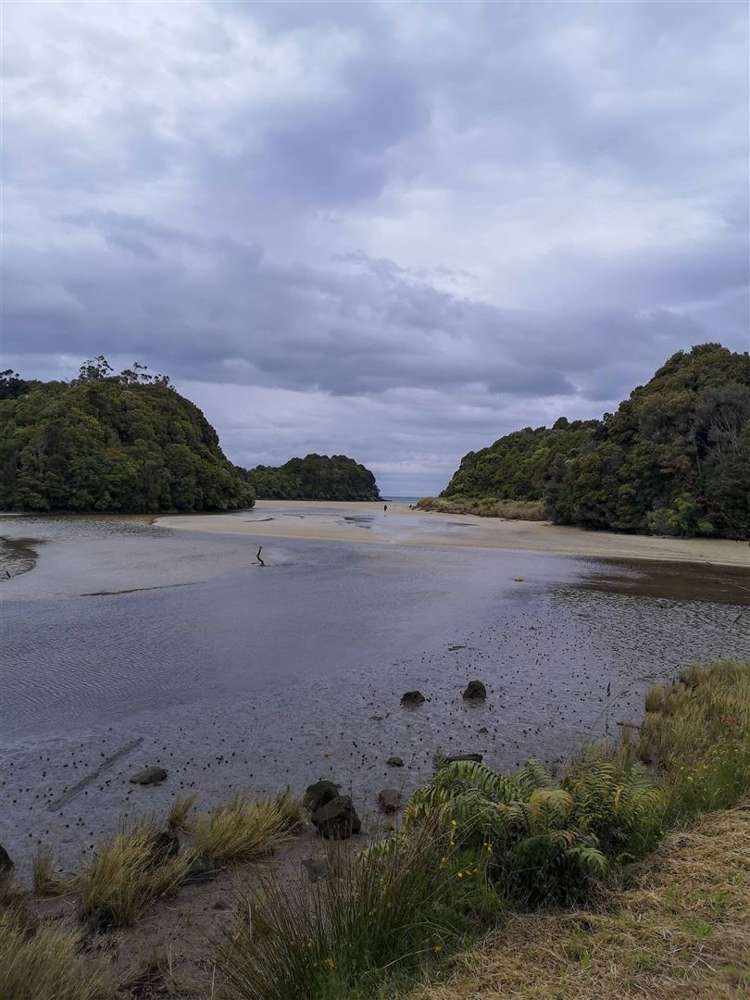 7d Kamahi Road Halfmoon Bay_11