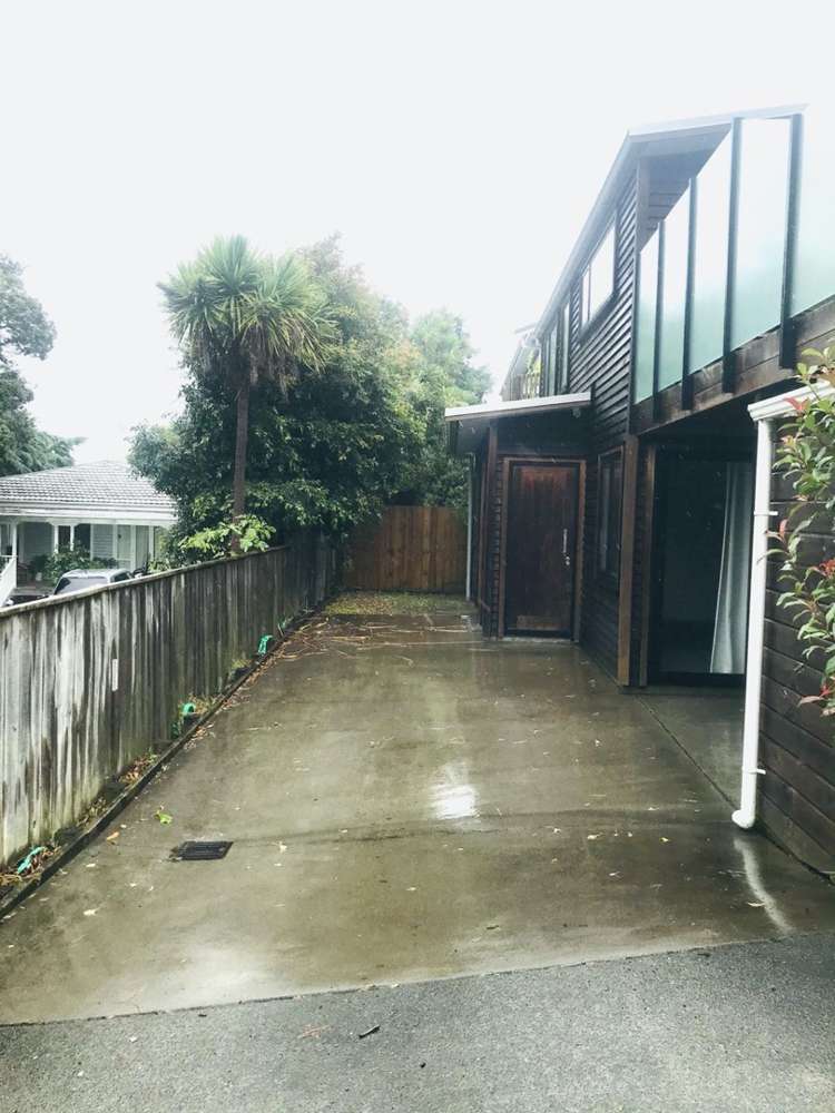 55a Powell Street Avondale_17