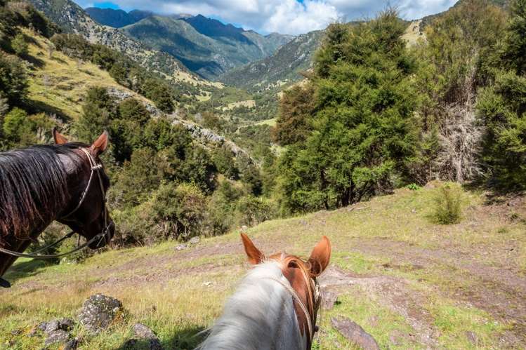 1180 Tyntesfield Road Waihopai Valley_1