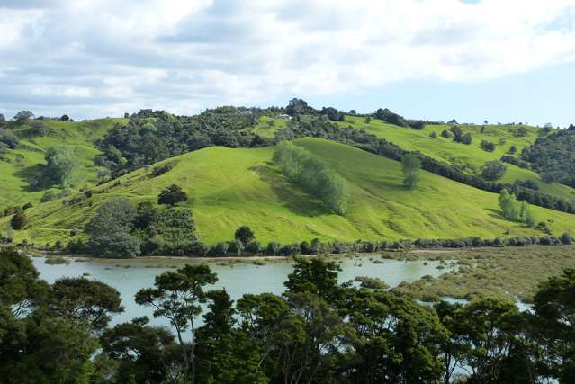 443 Mahurangi West Road Mahurangi West_1