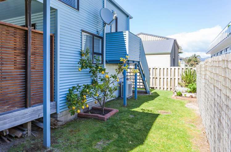 101b Tuck Road Whangamata_41